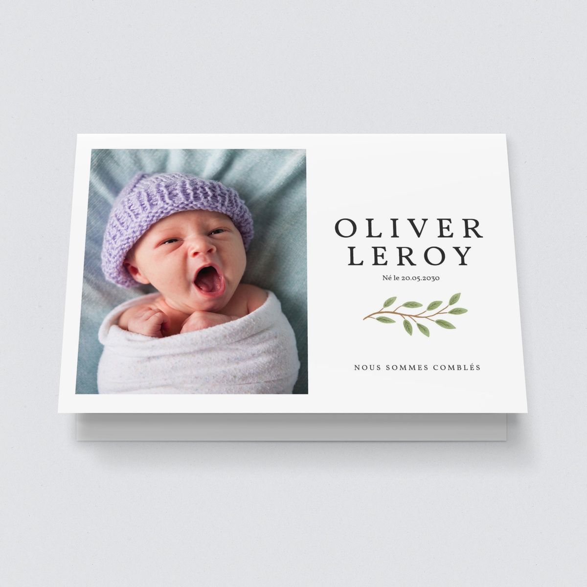 Petit olivier