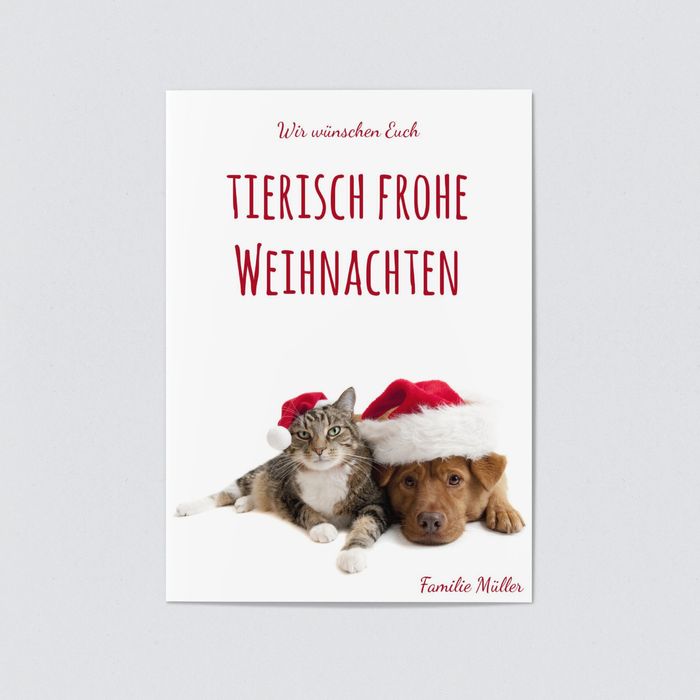 Tierische Weihnachtsgrüße Weihnachtskarten Tiermotive