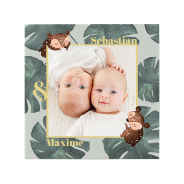 Babykarten Zwillinge, Bärenbrüder