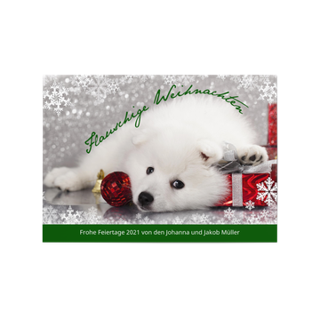Weihnachtskarten Tiermotive, Flauschhund in Grün