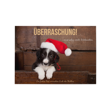 Weihnachtskarten Tiermotive, Kleiner Weihnachtshund