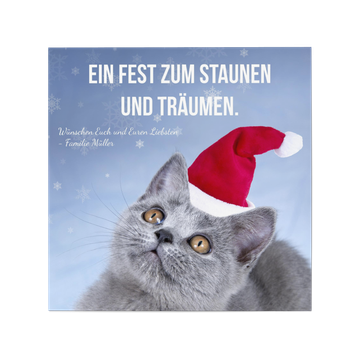 Weihnachtskarten Tiermotive, Staunende Weihnachtkatze