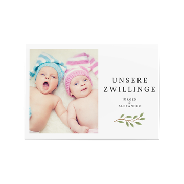 Geburtskarten für Zwillinge, Zweig
